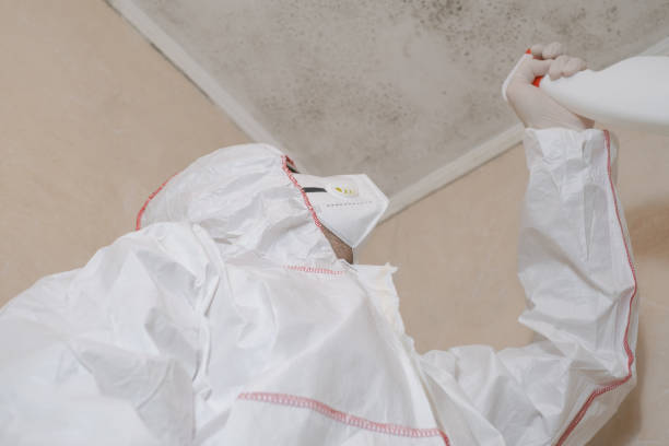 Best Industrial Mold Remediation in Canton, OH